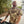 Bone Tactical Combat Shirt Collection (All Styles)