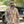 Bone Tactical Combat Shirt Collection (All Styles)