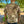 Bone Tactical Combat Shirt Collection (All Styles)