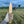 Bowie Knife Collection (All Models) - Bone Tactical LLC