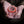 SOL Deluxe Map Compass - Bone Tactical LLC