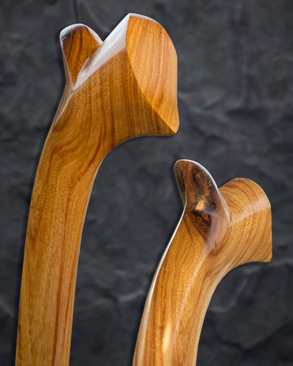Walking Sticks, Canes, and Exotic Hardwood Art Pieces