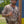Bone Tactical Combat Shirt Collection (All Styles)