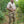 El Sicario Covert Concealed Carry Shirt Collection (All Colors & Styles)