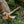 Bone Breacher (tomahawk with various options) - Bone Tactical LLC