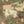 Bone Tactical Combat Pants