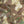 Bone Tactical Combat Pants
