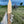 Bowie Knife Collection (All Models)
